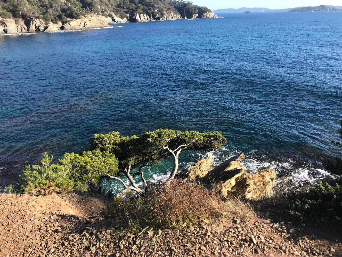La Pauseto Villa La Seyne-sur-Mer Luaran gambar